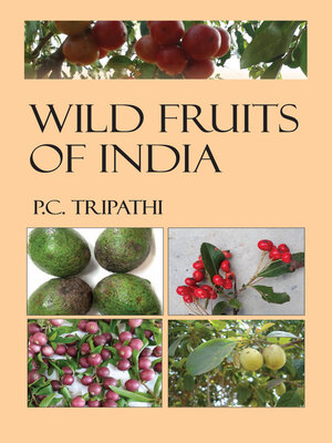 cover image of Wild Fruits of India